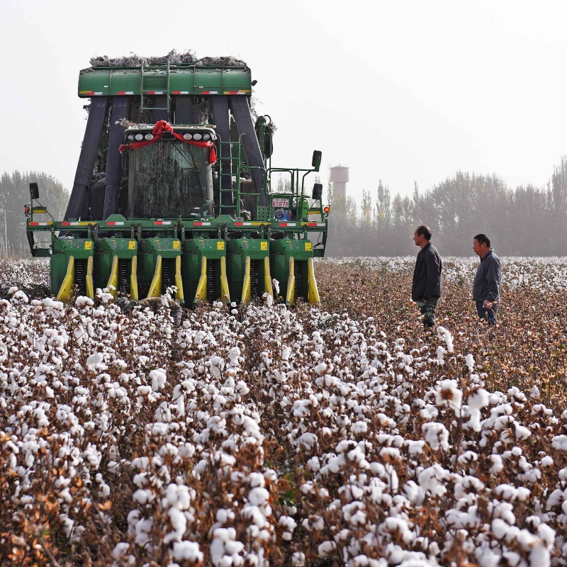 Levis lopettaa Xinjiangin BCI-aluksen