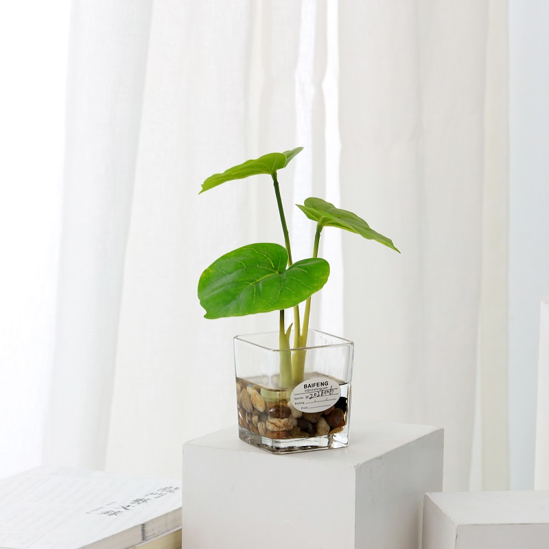Potted keinotekoinen kasvi jäljitelmävesi lasivareilla