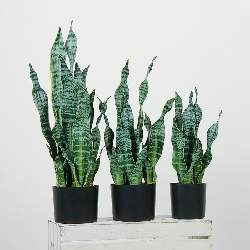 Hot Sale Green Indoor Etusivu Muovi Keinotekoiset kasvit Koristeellinen olohuone