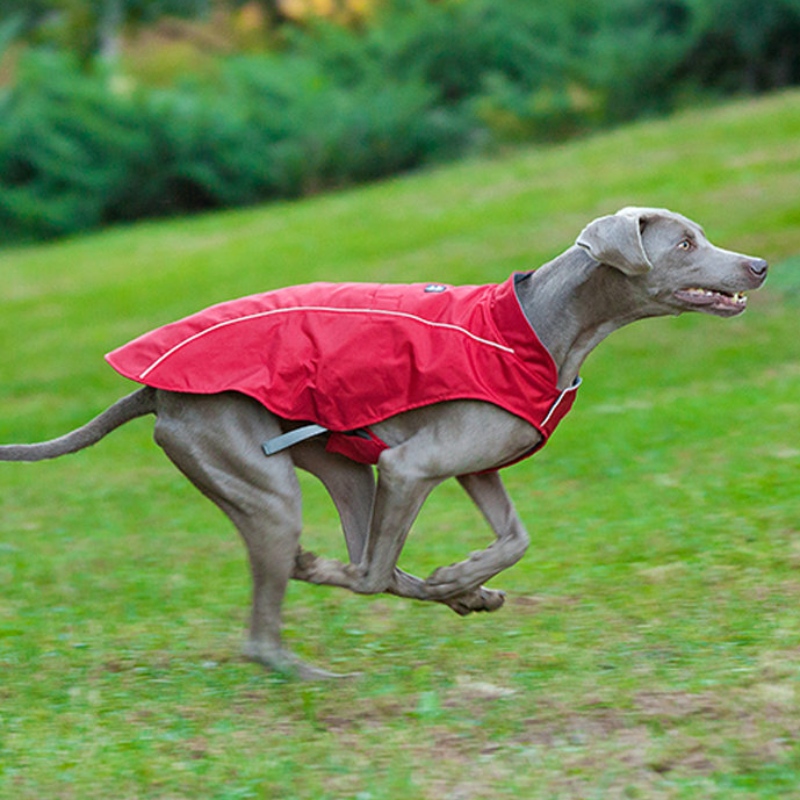 Klassinen tyyli heijastava koira takki vedenpitävä säädettävä Winter Dog Jacket Reversible Kevyt