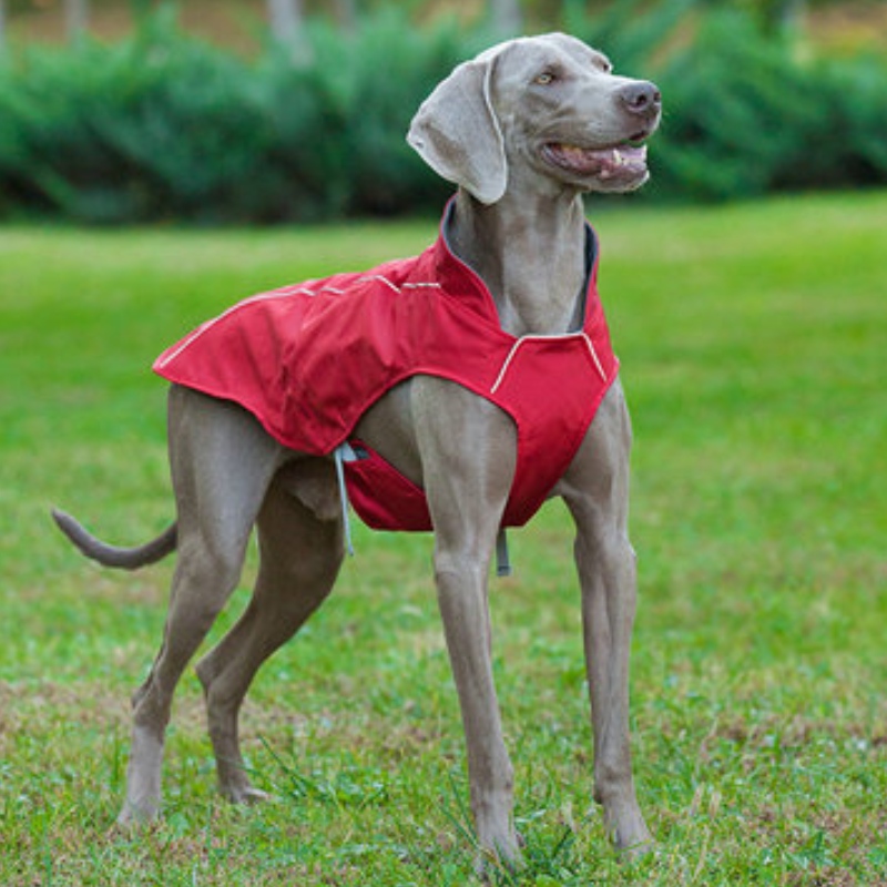 Klassinen tyyli heijastava koira takki vedenpitävä säädettävä Winter Dog Jacket Reversible Kevyt