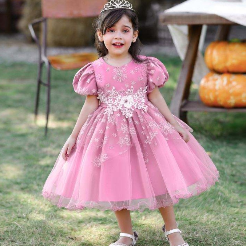 Baige -tyttövauva Frocks Design Lyhythihainen Performance Dance Dress Lasten juhlapuku L2028XZ
