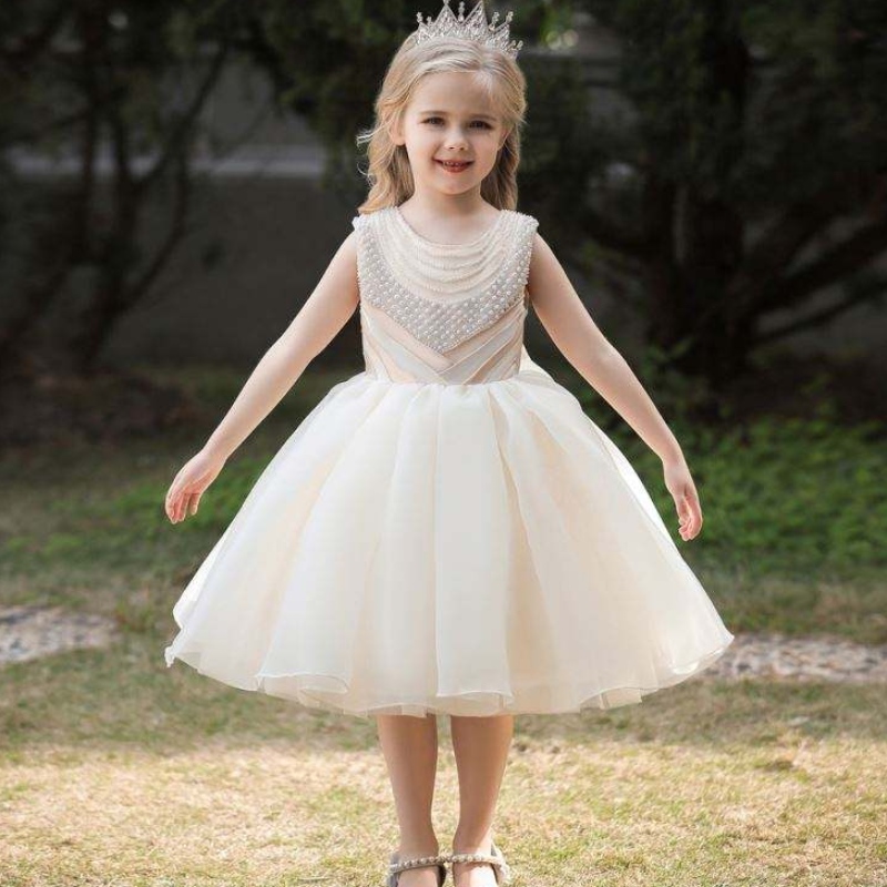 Baige New Models Girls Party Dresses Chonffon Princess Flower Summer Baby Boutique L5300