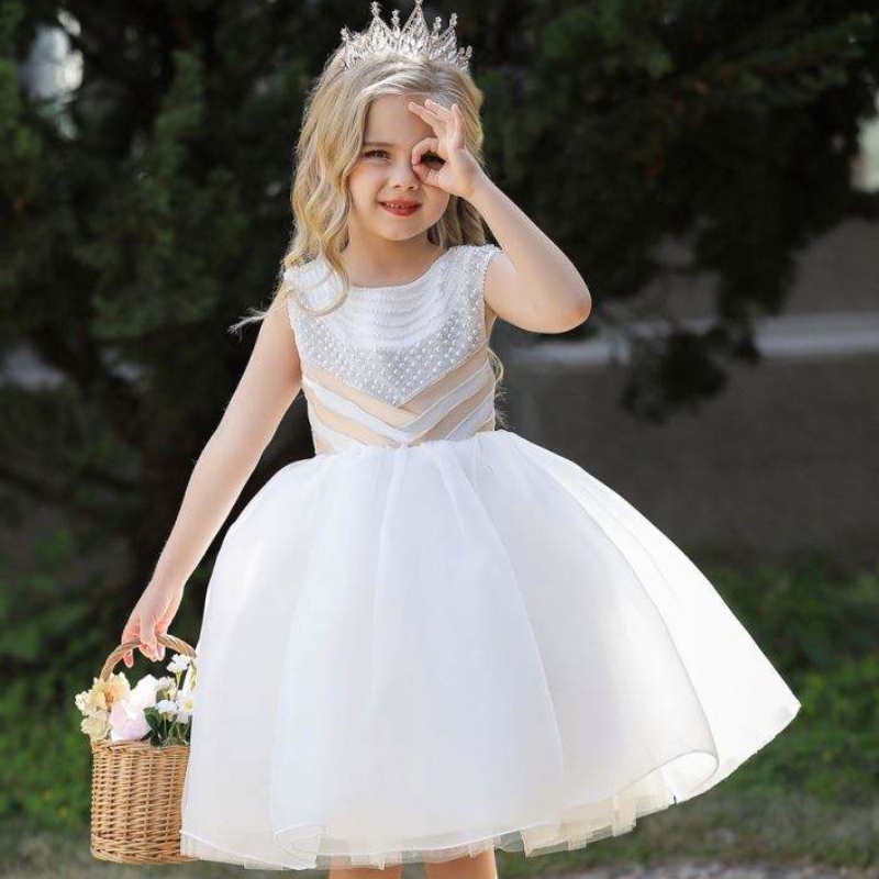 Baige New Models Girls Party Dresses Chonffon Princess Flower Summer Baby Boutique L5300