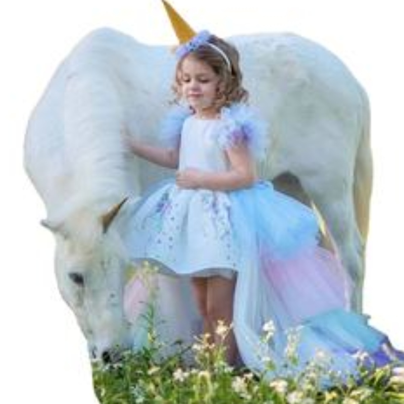 Yksisarvinen juhlapuku tyttöjen puku vauvan kesämekko Lapsilla Elegant tyttö käyttää prinsessamekkoa pitkällä junalla