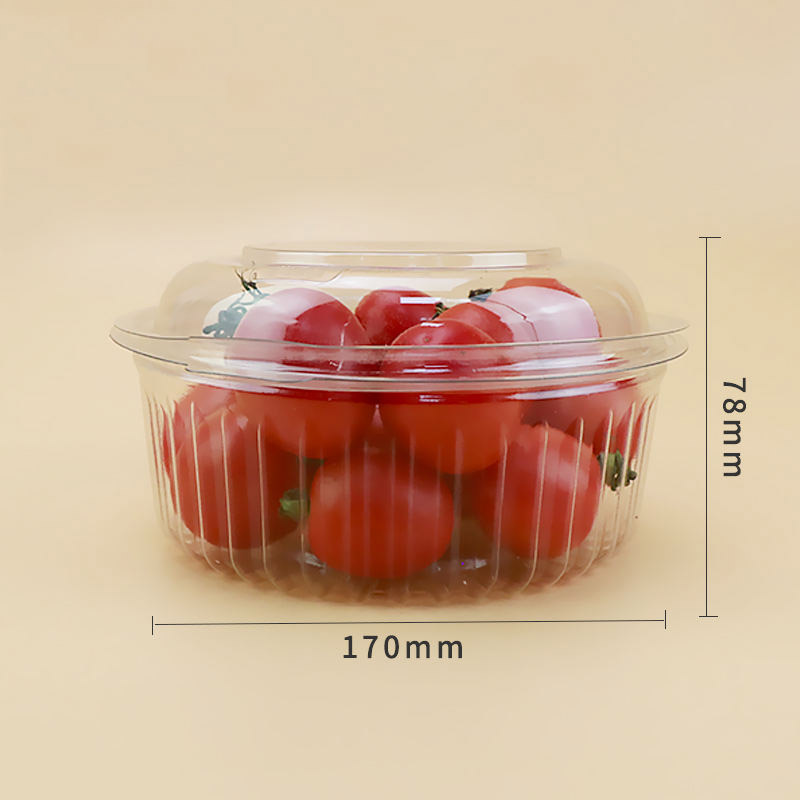 Muovinen kertakäyttöinen läpinäkyvä tuore hedelmä säilytyspakkaussäiliö hedelmälaatikko