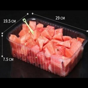 Ei kannen syvän tarjotin 290*195*75 mm hj-2817