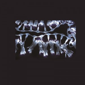 LED -jouluvalaistussarja