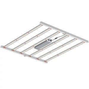 800W 4*4ft Full Spectrum puutarhaviljelmävalaistus sisätiloissa kasvihuoneessa tai kaupallisessa kasvavassa LED -LED -valossa