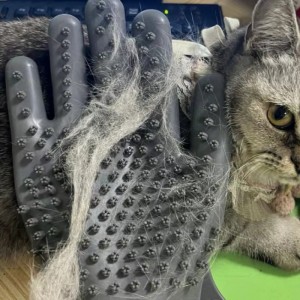 käsineet hierontaan