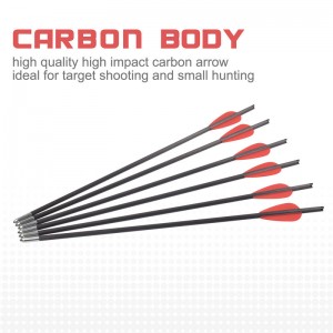 119722 12,8 tuuman OD 5,5 mm varsijousipultit