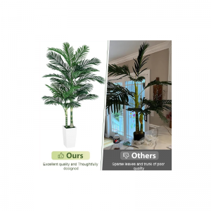 Golden Cane Palm Trees keinotekoinen sisätiloissa