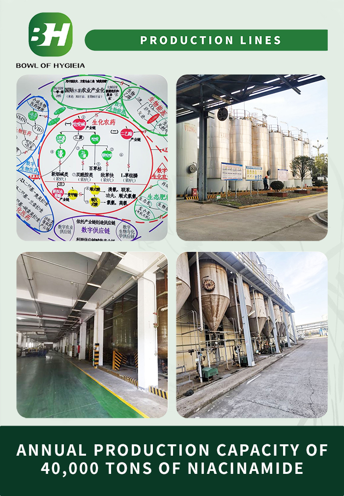 1704264757.jpg 3.jpg